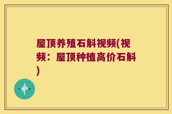 屋顶养殖石斛视频(视频：屋顶种植高价石斛)