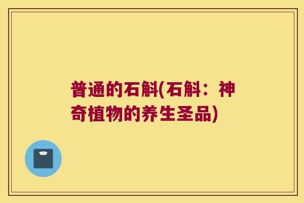 普通的石斛(石斛：神奇植物的养生圣品)