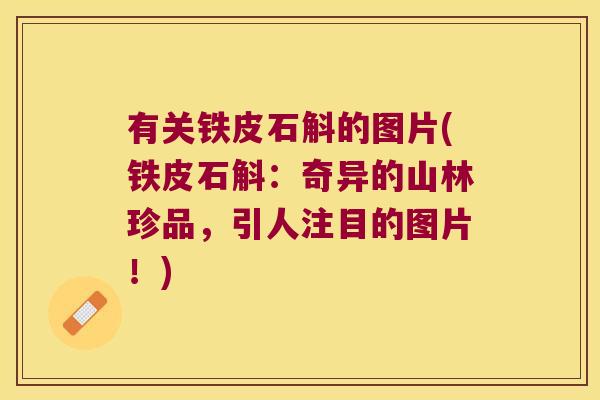 有关铁皮石斛的图片(铁皮石斛：奇异的山林珍品，引人注目的图片！)
