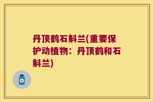 丹顶鹤石斛兰(重要保护动植物:丹顶鹤和石斛兰) 丹顶鹤石斛兰(重要保护动植物:丹顶鹤和石斛兰)