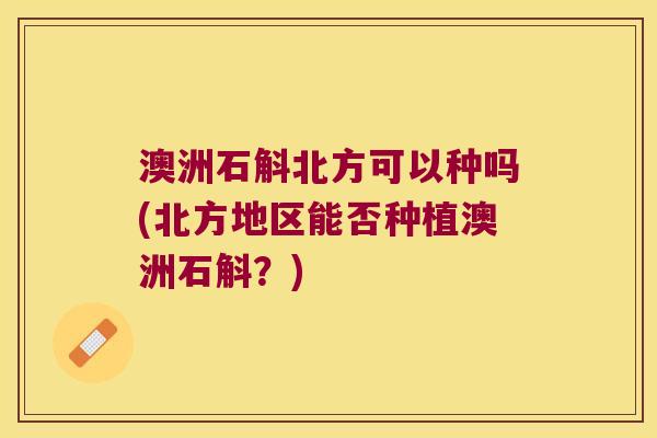 澳洲石斛北方可以种吗(北方地区能否种植澳洲石斛？)