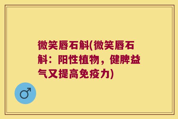 微笑唇石斛(微笑唇石斛：阳性植物，健脾益气又提高力)