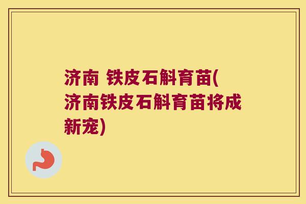 济南 铁皮石斛育苗(济南铁皮石斛育苗将成新宠)