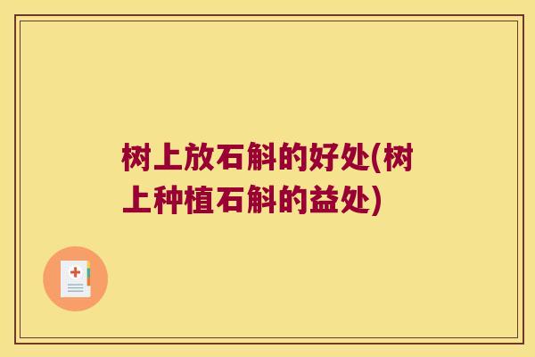 树上放石斛的好处(树上种植石斛的益处)