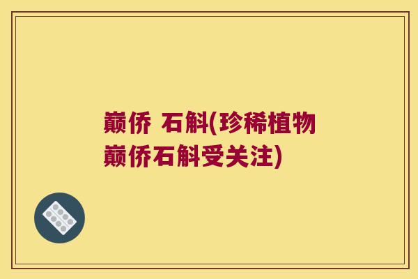 巅侨 石斛(珍稀植物巅侨石斛受关注)
