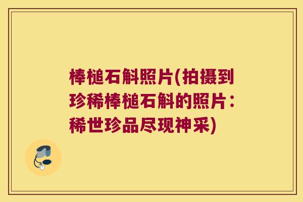 棒槌石斛照片(拍摄到珍稀棒槌石斛的照片：稀世珍品尽现神采)