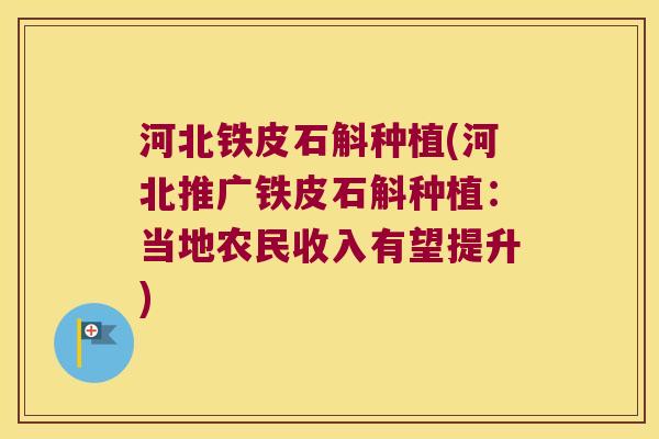 河北铁皮石斛种植(河北推广铁皮石斛种植：当地农民收入有望提升)