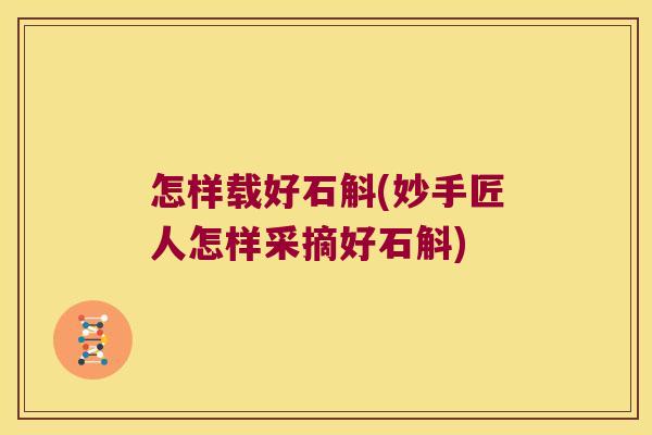 怎样载好石斛(妙手匠人怎样采摘好石斛)