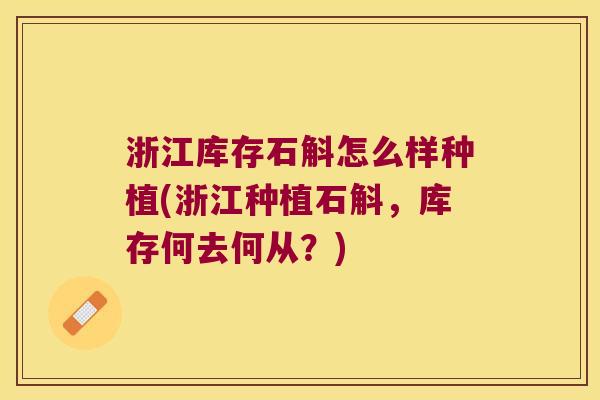 浙江库存石斛怎么样种植(浙江种植石斛，库存何去何从？)