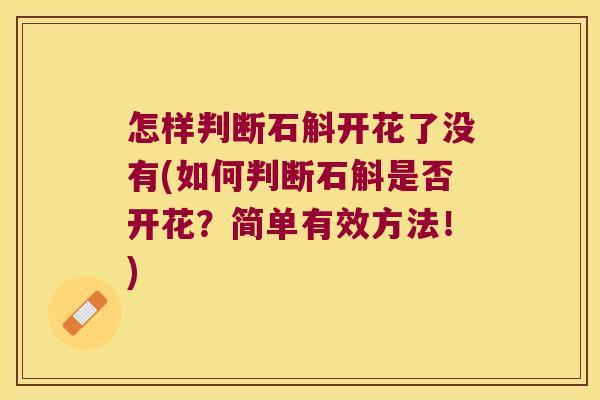 怎样判断石斛开花了没有(如何判断石斛是否开花？简单有效方法！)
