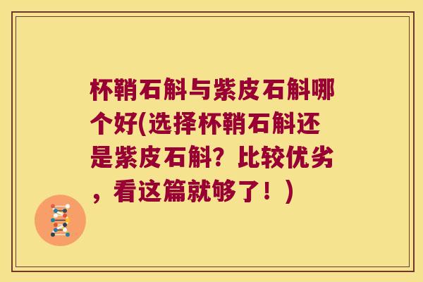 杯鞘石斛与紫皮石斛哪个好(选择杯鞘石斛还是紫皮石斛？比较优劣，看这篇就够了！)