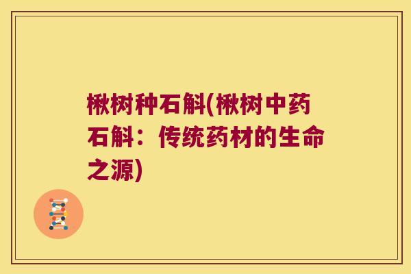 楸树种石斛(楸树中药石斛：传统药材的生命之源)
