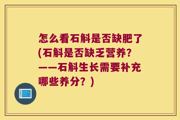怎么看石斛是否缺肥了(石斛是否缺乏营养？——石斛生长需要补充哪些养分？)