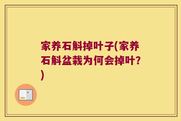 家养石斛掉叶子(家养石斛盆栽为何会掉叶？)