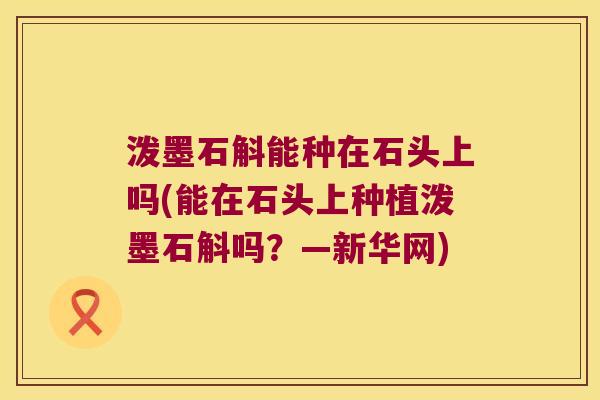 泼墨石斛能种在石头上吗(能在石头上种植泼墨石斛吗?—新华网) 泼墨石斛能种在石头上吗(能在石头上种植泼墨石斛吗?—新华网)