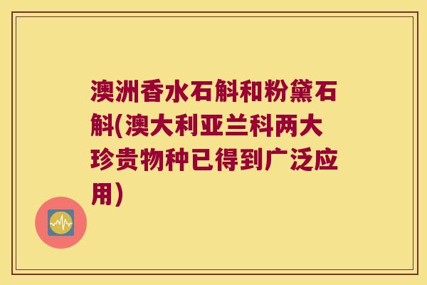 澳洲香水石斛和粉黛石斛(澳大利亚兰科两大珍贵物种已得到广泛应用)