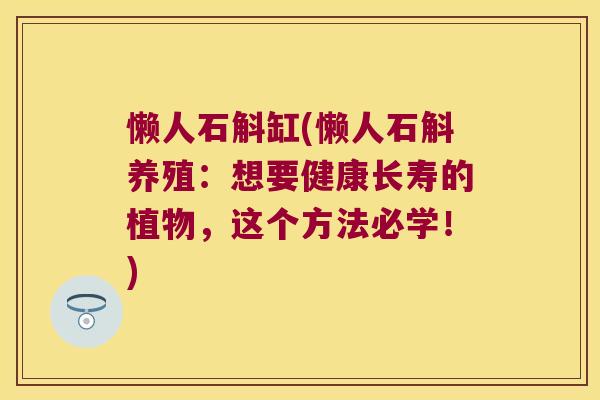 懒人石斛缸(懒人石斛养殖：想要健康长寿的植物，这个方法必学！)
