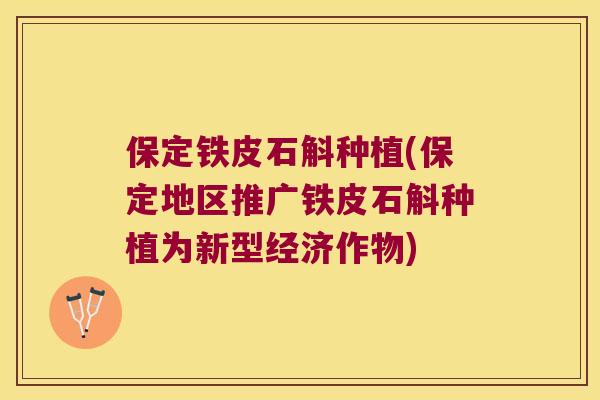 保定铁皮石斛种植(保定地区推广铁皮石斛种植为新型经济作物)