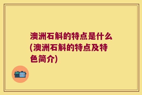 澳洲石斛的特点是什么(澳洲石斛的特点及特色简介)