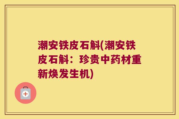 潮安铁皮石斛(潮安铁皮石斛：珍贵中药材重新焕发生机)
