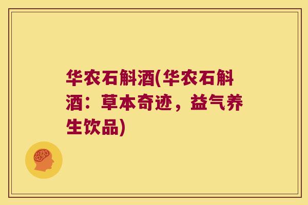 华农石斛酒(华农石斛酒：草本奇迹，益气养生饮品)