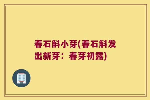 春石斛小芽(春石斛发出新芽：春芽初露)