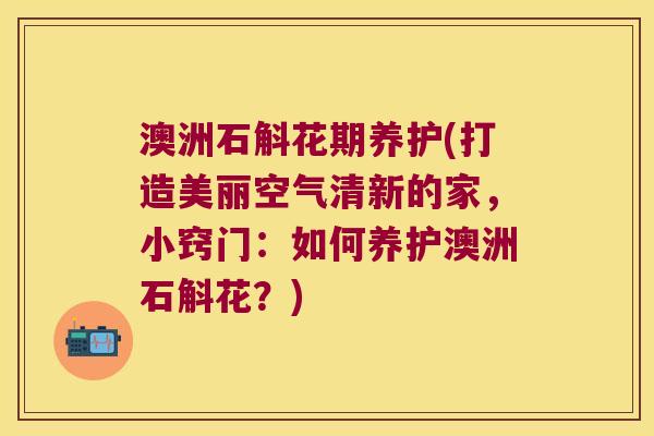 澳洲石斛花期养护(打造美丽空气清新的家，小窍门：如何养护澳洲石斛花？)