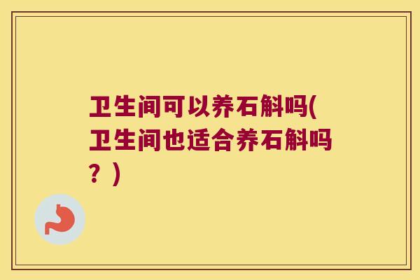 卫生间可以养石斛吗(卫生间也适合养石斛吗？)