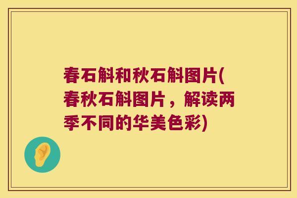 春石斛和秋石斛图片(春秋石斛图片，解读两季不同的华美色彩)