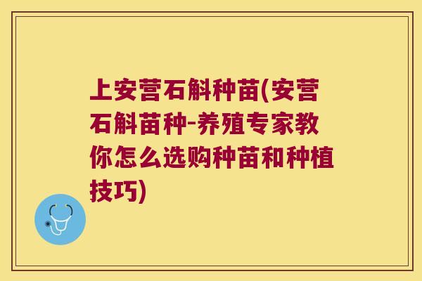 上安营石斛种苗(安营石斛苗种-养殖专家教你怎么选购种苗和种植技巧)