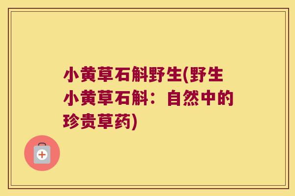 小黄草石斛野生(野生小黄草石斛:自然中的珍贵草药) 小黄草石斛野生(野生小黄草石斛:自然中的珍贵草药)