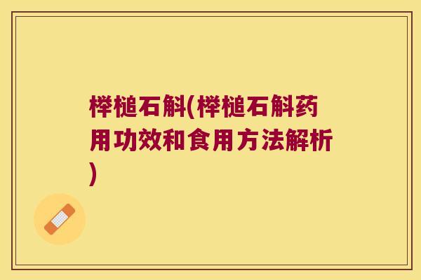榉槌石斛(榉槌石斛药用功效和食用方法解析)