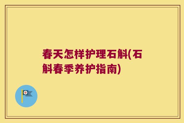 春天怎样护理石斛(石斛春季养护指南)