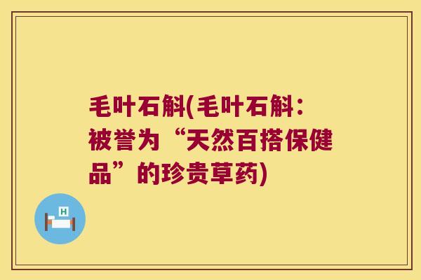 毛叶石斛(毛叶石斛：被誉为“天然百搭保健品”的珍贵草药)