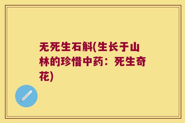 无死生石斛(生长于山林的珍惜中药：死生奇花)