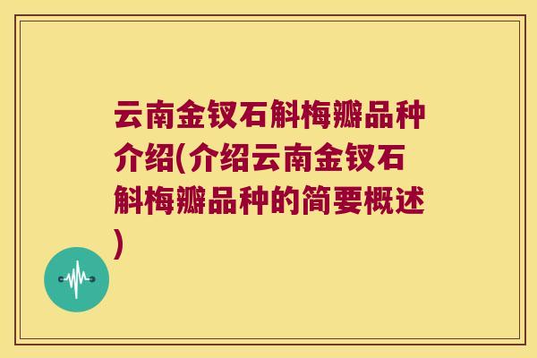 云南金钗石斛梅瓣品种介绍(介绍云南金钗石斛梅瓣品种的简要概述)