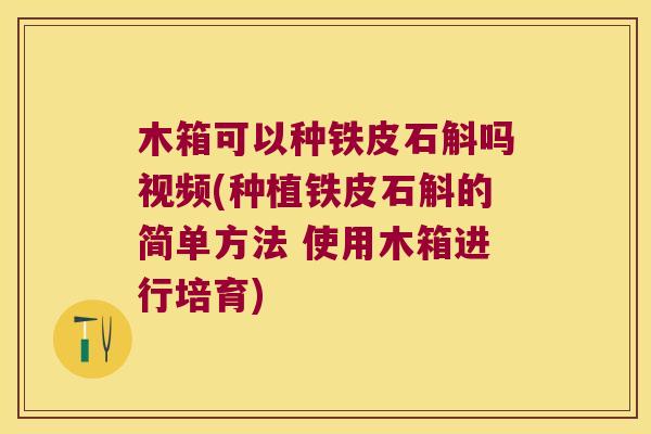木箱可以种铁皮石斛吗视频(种植铁皮石斛的简单方法 使用木箱进行培育)