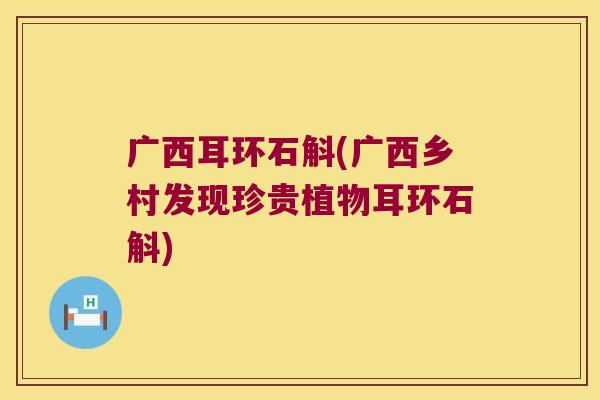 广西耳环石斛(广西乡村发现珍贵植物耳环石斛) 广西耳环石斛(广西乡村发现珍贵植物耳环石斛)