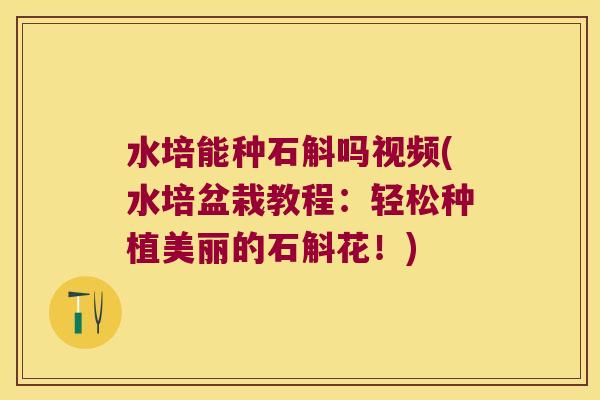 水培能种石斛吗视频(水培盆栽教程:轻松种植美丽的石斛花!) 水培能种石斛吗视频(水培盆栽教程:轻松种植美丽的石斛花!)