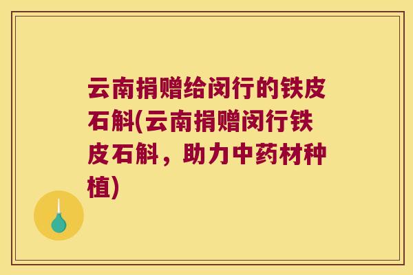云南捐赠给闵行的铁皮石斛(云南捐赠闵行铁皮石斛，助力中药材种植)