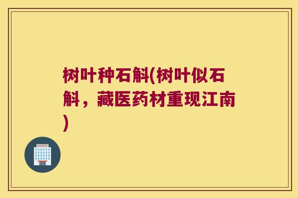 树叶种石斛(树叶似石斛，藏医药材重现江南)