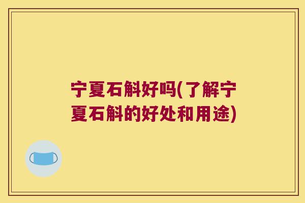 宁夏石斛好吗(了解宁夏石斛的好处和用途)