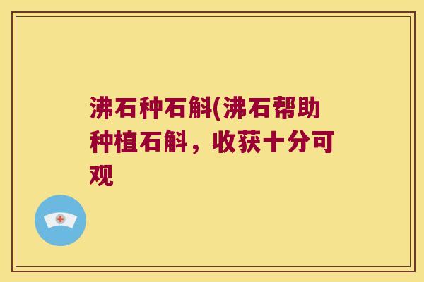沸石种石斛(沸石帮助种植石斛，收获十分可观