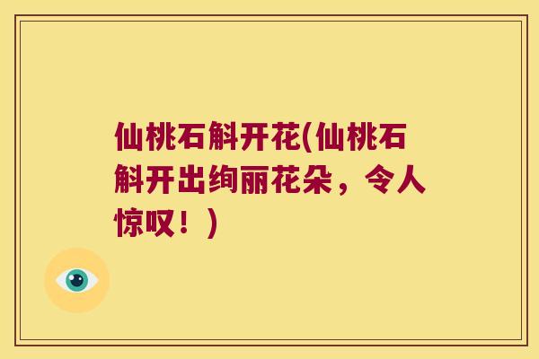 仙桃石斛开花(仙桃石斛开出绚丽花朵，令人惊叹！)