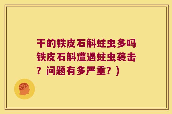 干的铁皮石斛蛀虫多吗铁皮石斛遭遇蛀虫袭击？问题有多严重？)