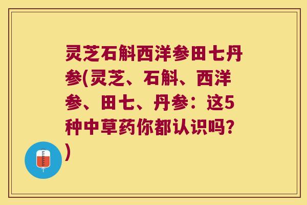 灵芝石斛西洋参田七丹参(灵芝、石斛、西洋参、田七、丹参：这5种中草药你都认识吗？)