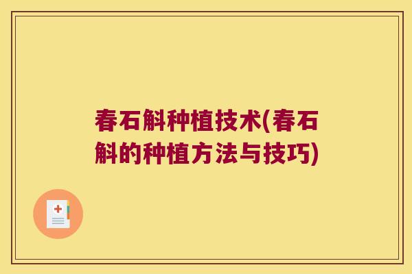 春石斛种植技术(春石斛的种植方法与技巧)