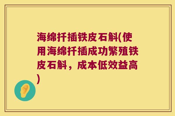 海绵扦插铁皮石斛(使用海绵扦插成功繁殖铁皮石斛，成本低效益高)