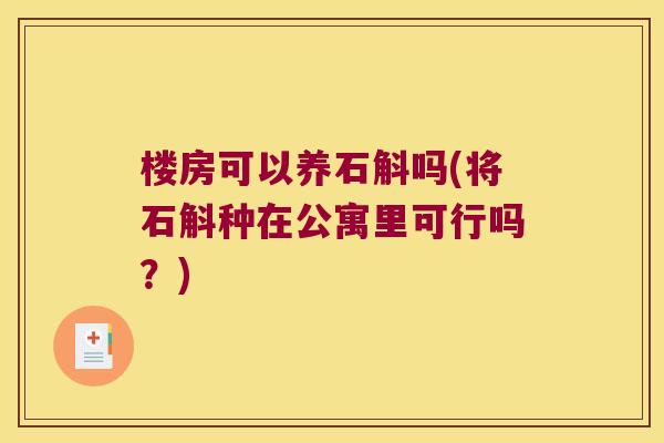 楼房可以养石斛吗(将石斛种在公寓里可行吗？)