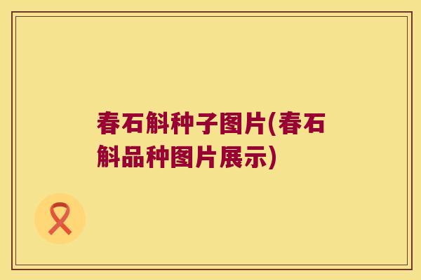 春石斛种子图片(春石斛品种图片展示)